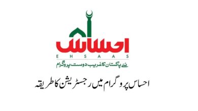 8171 Ehsaas Program Online Registration New Method Update