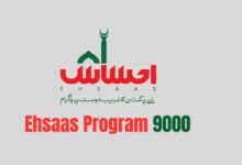 Online Check Ehsaas Program 9000 New Latest Update
